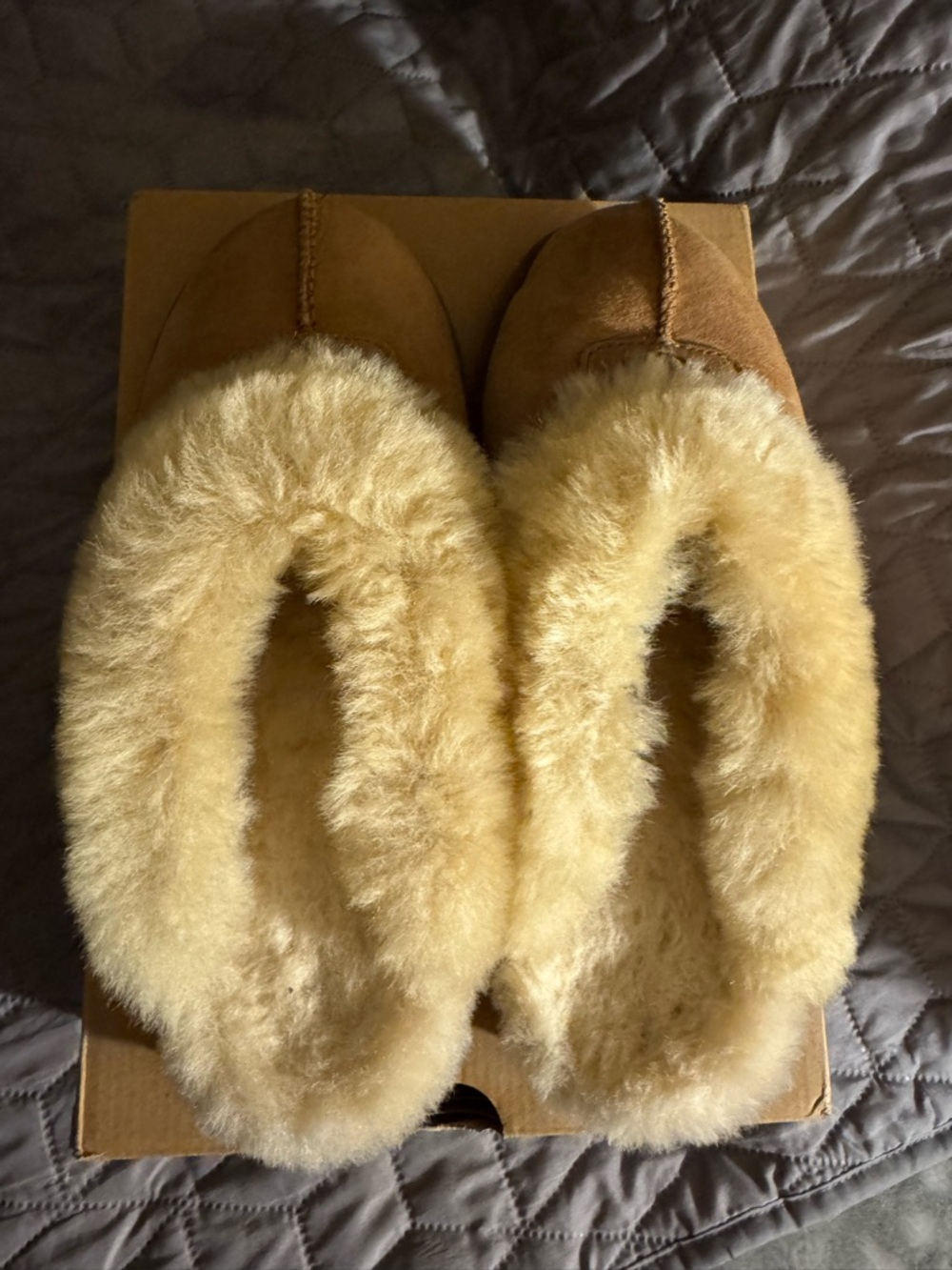 UGG Chestnut Suede Shearling Slippers with Cream Fur Collar - Picture 4 of 7